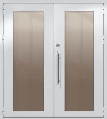 Двупольная техническая дверь с максимальными стеклами (цвет светло-серый RAL 7047) Двупольная техническая дверь с максимальными стеклами (цвет светло-серый RAL 7047)