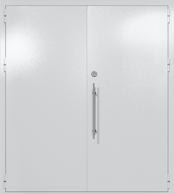 Двупольная глухая техническая дверь (цвет светло-серый RAL 7047) Двупольная глухая техническая дверь (цвет светло-серый RAL 7047)