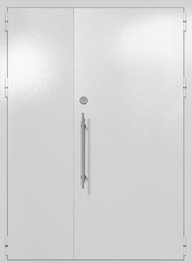 Полуторапольная глухая техническая дверь (цвет светло-серый RAL 7047) Полуторапольная глухая техническая дверь (цвет светло-серый RAL 7047)